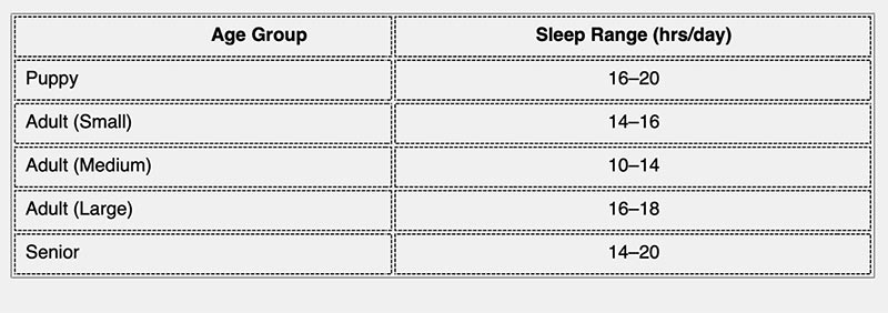 Quick Reference Table for Dog Sleep needs by Age & Size