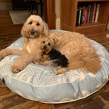 Best friends cuddling up on Appledore round dog bed