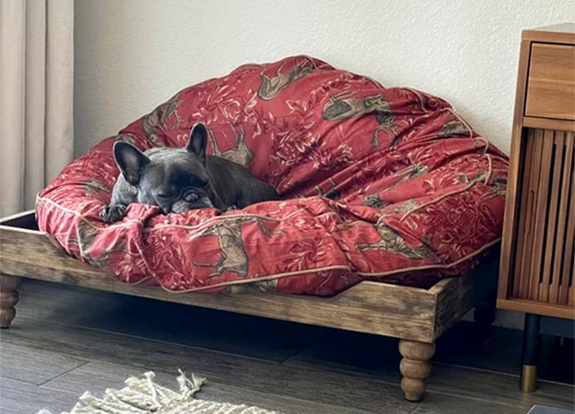 Woburn Meadow Round Dog Bed